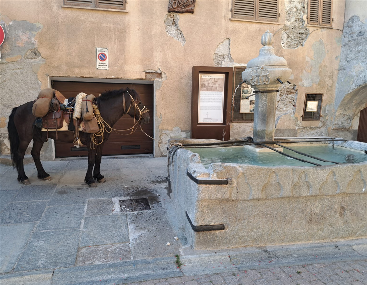 Fontana Placo