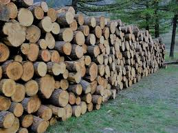 Domande per focatico 2026